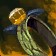 Polished Dookin Ring