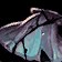 Sturdy Deepflayer Scute