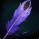 Whirlwing's Plumage