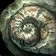 Snail Shell Necklace