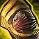 Shadraspawn Mantle