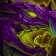 Grande tortue-dragon violette