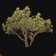 Arbre gob de Tranchevent