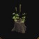 Pot fongique de jardin luxuriant