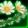 Crown of Faded Springflowers