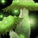 Fungarian Mystic's Cluster