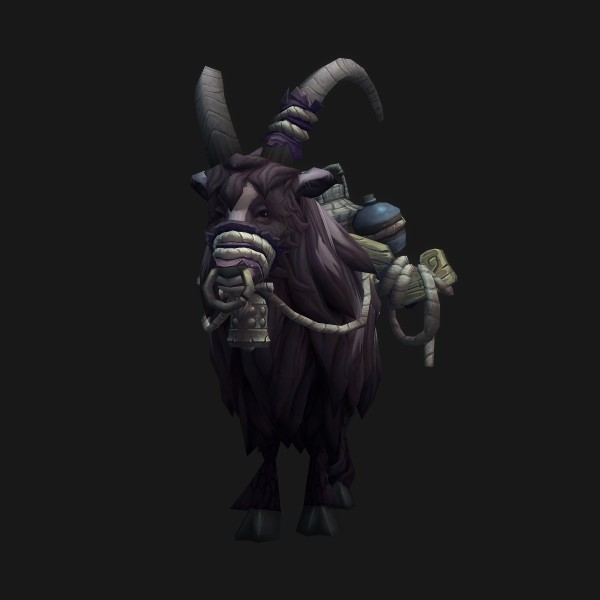 Spotted Black Riding Goat