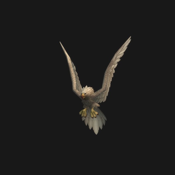 Snowy Highmountain Eagle