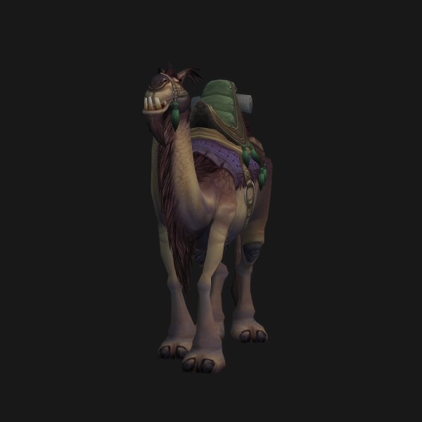 Brown Riding Camel