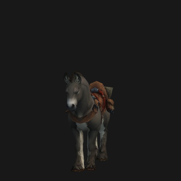 Lil' Donkey