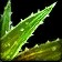 Swiftthistle - World of Warcraft Herb item icon