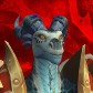 불용가리 avatar