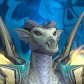 정배할라고키움 avatar