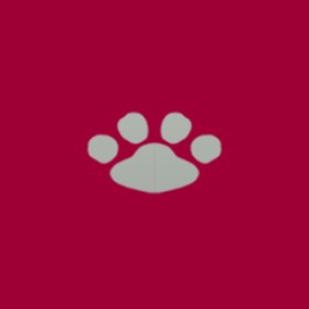 샨낙지's guild emblem