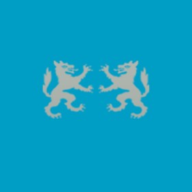 Backslash's guild emblem