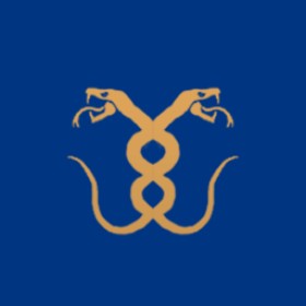 바갓술사임's guild emblem