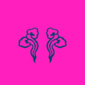 기장샹크스's guild emblem