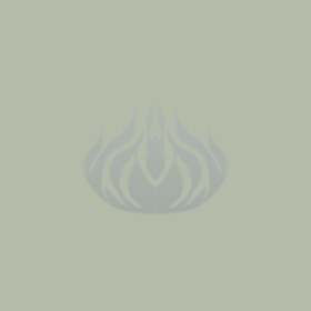 오크쉐도헌터's guild emblem