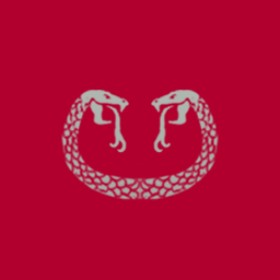 Dslayer's guild emblem