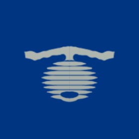 Lastenvoy's guild emblem