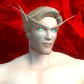貓咪騎士