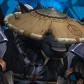 臨時抱佛腳