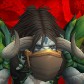 Ninjadru