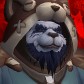 白泰迪
