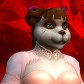 超星拳婦