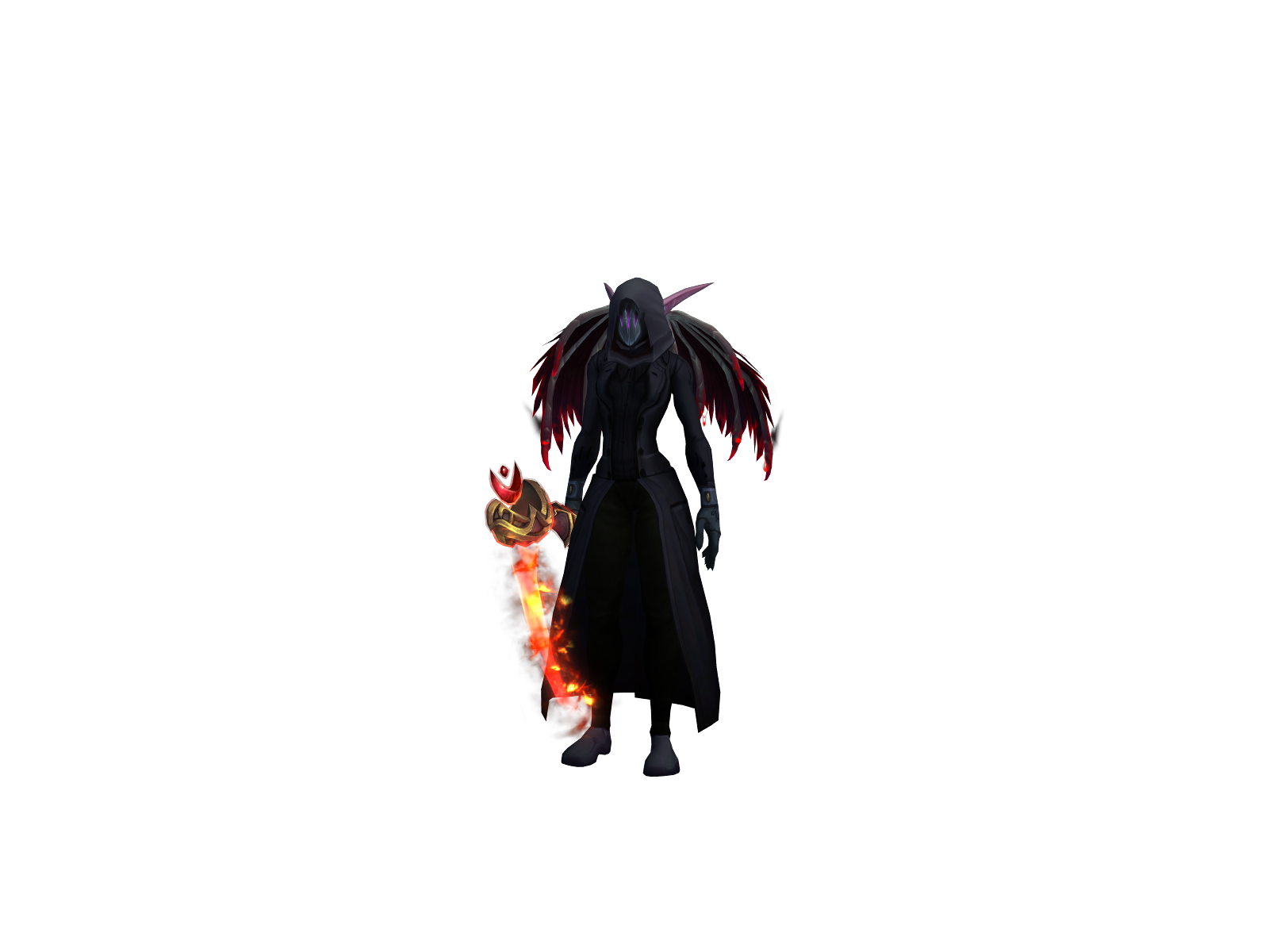 Taylordruid