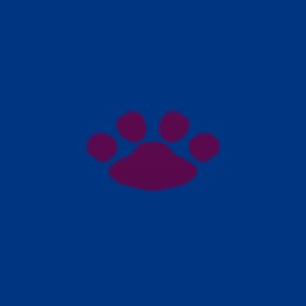小跑步 Wappen