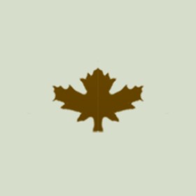 術士書's guild emblem