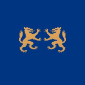 殛光怒火's guild emblem