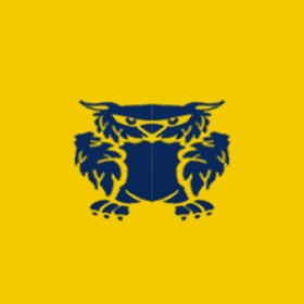 希爾斯塔茲's guild emblem