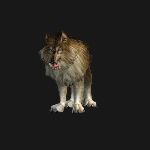 棕狼