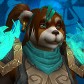 Shaojiu avatar