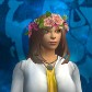 Drauna