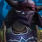 Elzfury