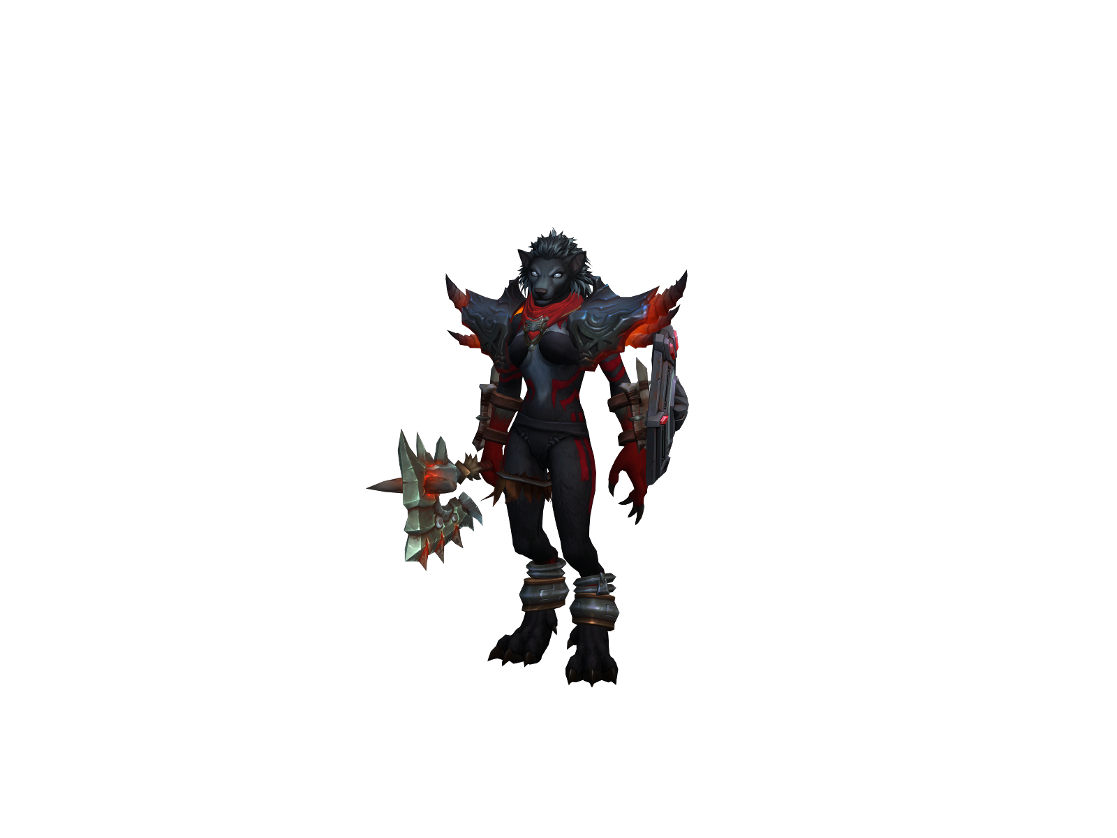 Wolfia