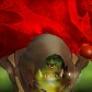Rollingblows avatar