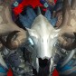 Midic avatar