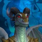 Dracmandi