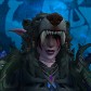 Dmgdruid