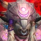 Cowhealer avatar