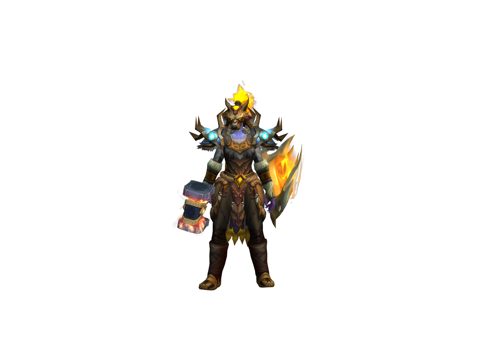 Koach
