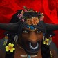 Mommyhooves avatar