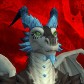Nitedragg avatar