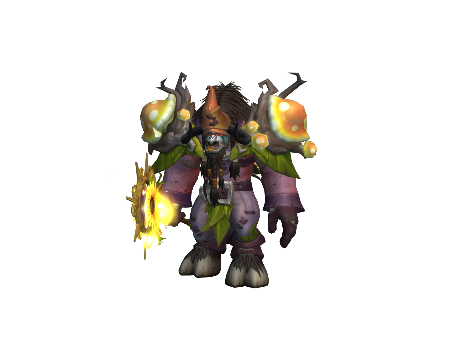 Krazibearcat