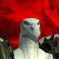 Hraanica avatar