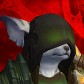 Worstshammy